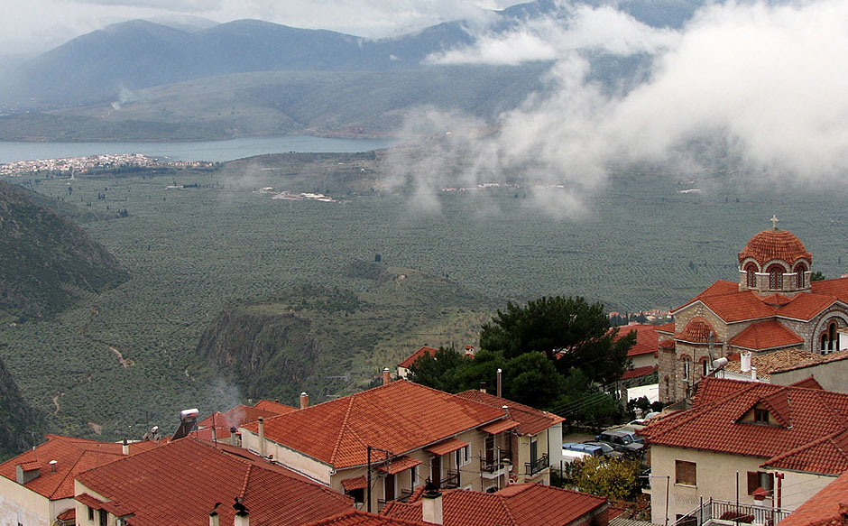 The olive grove from Delfi of today