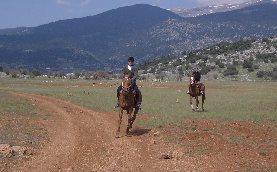 Riding Lawn in the forest