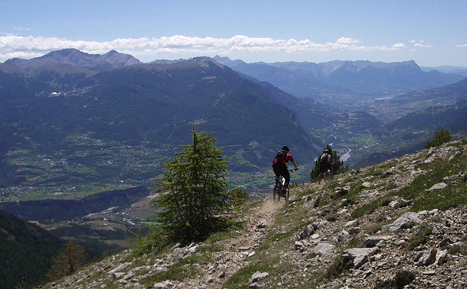 Mountain bike on mountain trails and forest roads